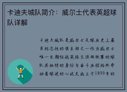 卡迪夫城队简介：威尔士代表英超球队详解