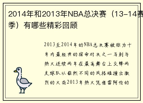 2014年和2013年NBA总决赛（13-14赛季）有哪些精彩回顾
